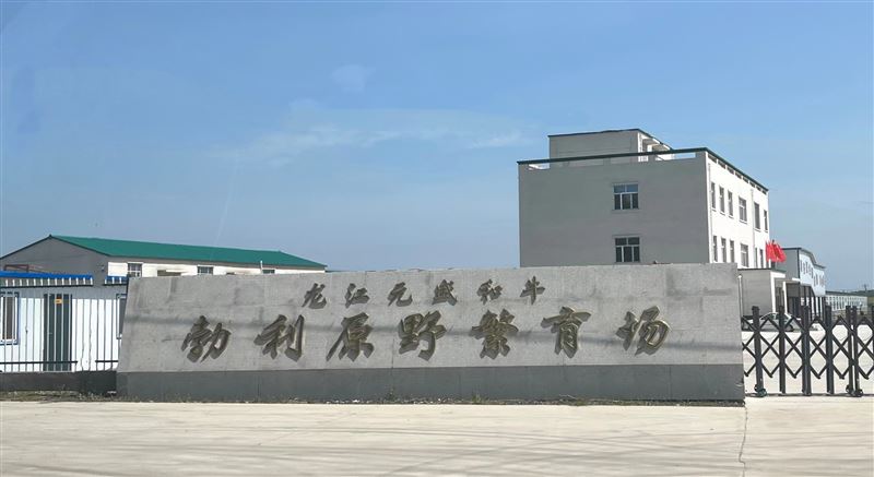 龍江元盛和牛招聘投資部專(zhuān)員